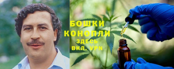 спиды Новозыбков