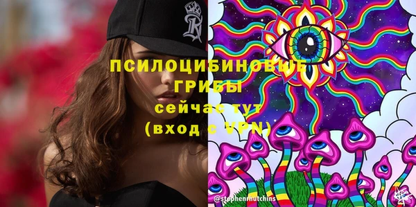 2c-b Губаха