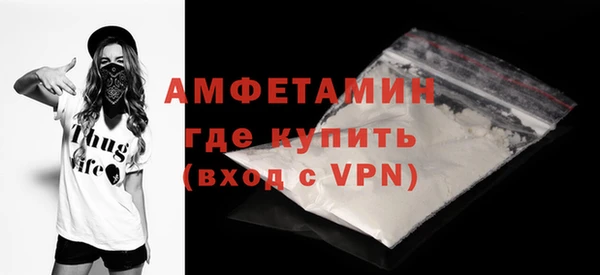 твердый Новодвинск