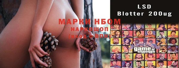 спиды Новозыбков