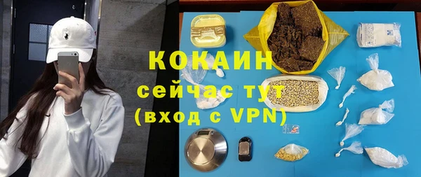 твердый Новодвинск
